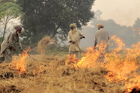CSE estimates that biomass co-firing in coal power plants, if implemented on a timely basis, can prevent the burning of 4.16 MT of paddy residue cumulatively in Punjab, Haryana and Uttar Pradesh