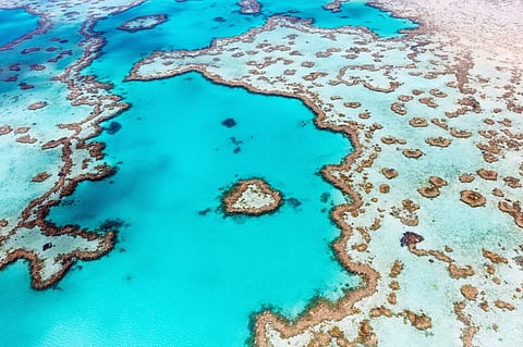 Record coral cover doesn’t necessarily mean the Great Barrier Reef is in good health