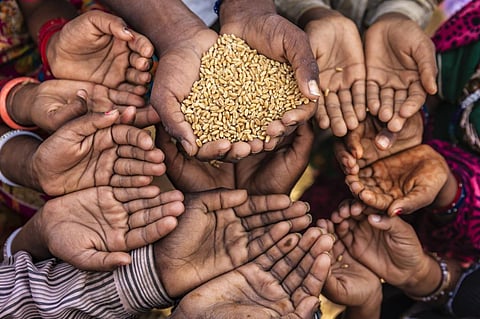 The CARE report found that across 109 countries,  food security goes down as gender inequality goes up. Photo: iStock