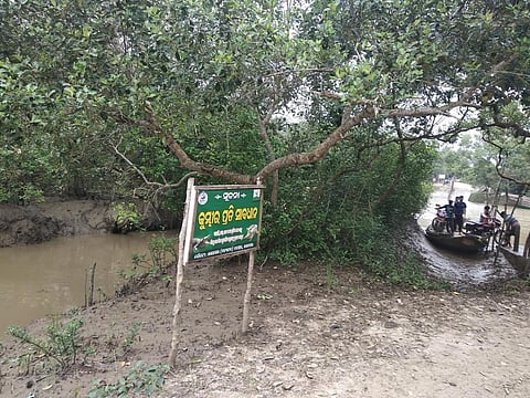 A sign board of the Odisha forest department in Bhitarkanika stating ‘Beware of Crocodiles’. Photo: Ashis Senapati
