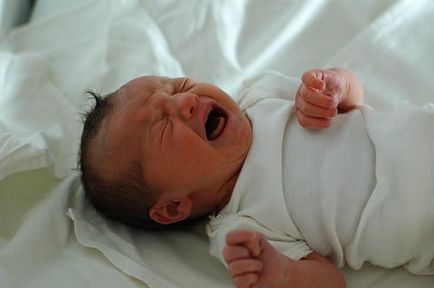 A study has found examples of sepsis-causing resistant bacteria in newborn children. Photo: Wikimedia Commons