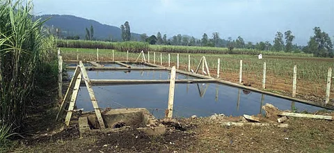 Waste-stabilization pond at Bajar Bhogaon village (Photo: Zila parishad, Kolhapur)