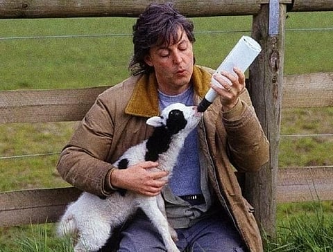 A nationalistic objection to veganism is that the West has a higher burden to reduce its carbon footprint whereas India doesn’t. But ethics are universal. Photo:
@mccartneyist / Twitter