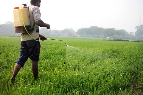Use of highly hazardous pesticides are approved for use in India for only specific crop-pest combinations. Photo: iStock