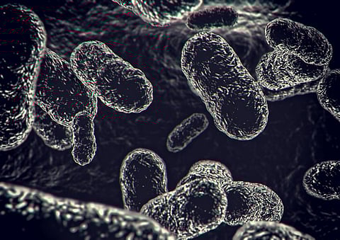 Bacteria can team up with viruses to cause coinfections. Photo: Erlon Silva / TRI Digital / Moment via Getty Images