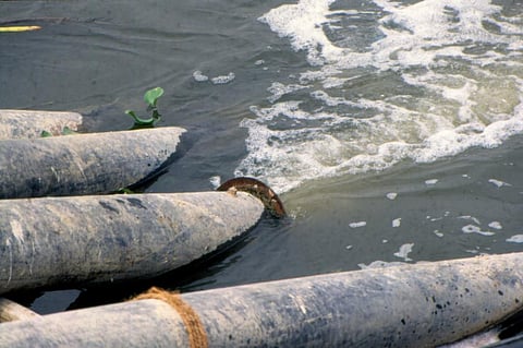 दावा: पर्यावरण नियमों के अनुरूप हैं उत्तराखंड में एनएमसीजी द्वारा वित्त पोषित सभी एसटीपी