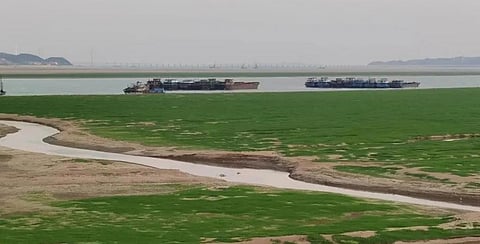 Poyang Lake, the largest fresh water lake of China, has entered the dry season ahead of schedule due to hot weather. Photo: Jiangxi Provincial Meteorological Service