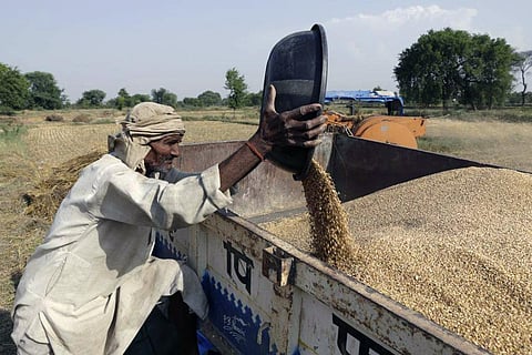 तापमान में 2 डिग्री सेल्सियस की वृद्धि के साथ भारत में 7 फीसदी तक घट जाएगी गेहूं की पैदावार