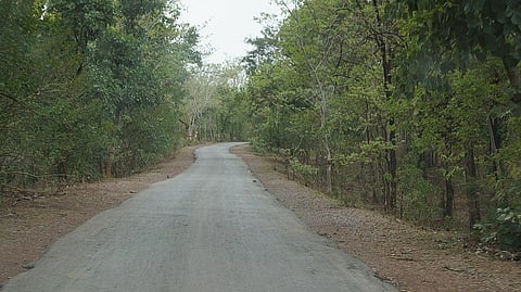 Future in forest: How eviction of villagers from Achanakmar tiger reserve united adivasis to fight for CFRR
