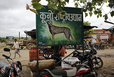 A flex board placed on a road near Tiktoli village, Sheopur, Madhya Pradesh. Photo: Vikas Choudhury/CSE