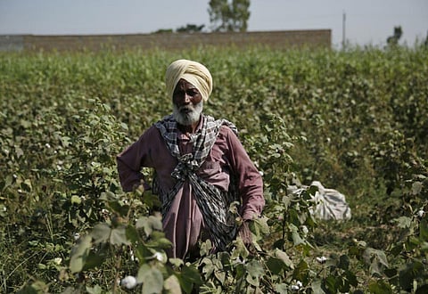 फोटो : विकास चौधरी/ सीएसई