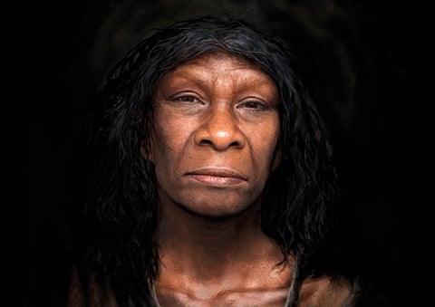 Neanderthals died out 40,000 years ago, but there has never been more of their DNA on Earth