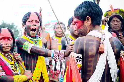 टिप्पिंग पॉइंट पर पहुंचा अमेजन के जंगलों का 26 फीसदी हिस्सा, मूल निवासियों पर टिकी उम्मीदें