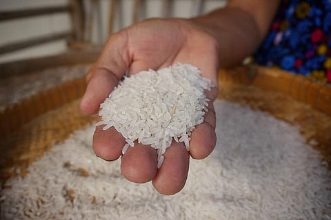 Photo credit: rawpixel