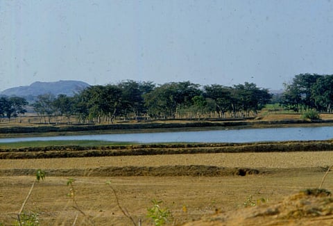पूर्वी राजस्थान के सूखाग्रस्त जिलों में पेयजल और सिंचाई होगी संभव!