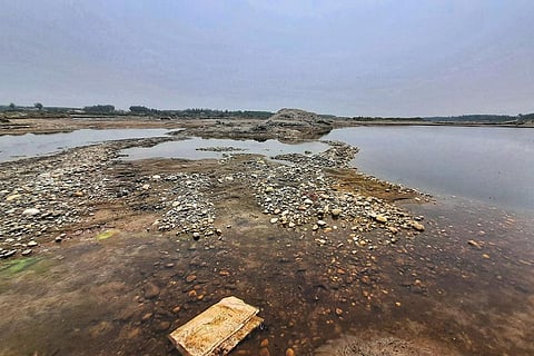 हरियाणा जिले के यमुनानगर के कनालसी गांव के ग्रामीणों का आरोप है कि अवैध रेत खनन के चलते यमुना की जैव-विविधता बुरी तरह प्रभावित हो रही है। फोटो: वर्षा सिंह