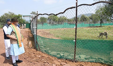 Photo: @narendramodi / Twitter