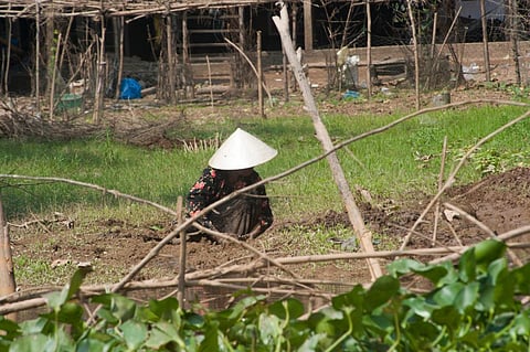 Plant treaty: Ways to benefit custodians of agricultural biodiversity in focus