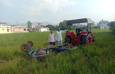 उत्तराखंड में धान के बौने रहने पर किसान खड़ी फसल पर ट्रैक्टर चला रहे हैं। फोटो: राजेश डोबरियाल