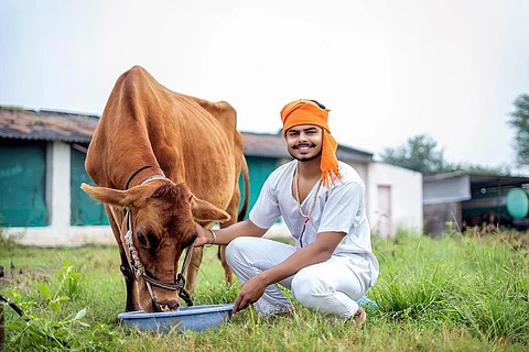100 करोड़ अतिरिक्त लोगों का भर सकता है पेट, पशु चारे में करना होगा बदलाव