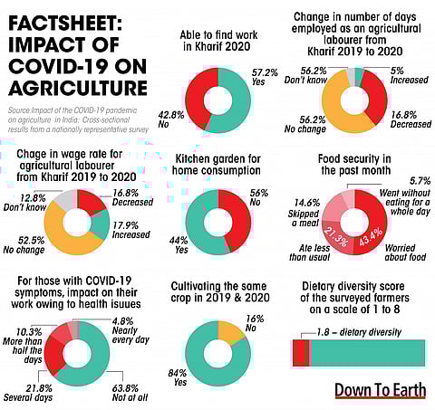 How did COVID-19 pandemic pan out for India’s farmers? Check out these 8 charts