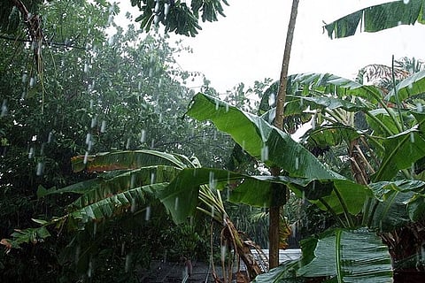 मॉनसून अपडेट: अगले दो दिनों के दौरान उत्तर पश्चिम भारत में बारिश का मौजूदा दौर रहेगा जारी