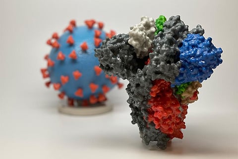 COVID-19 and its devastating impact has only reinforced the argument in favour of ensuring a robust early warning system. Photo: Wikimedia Commons