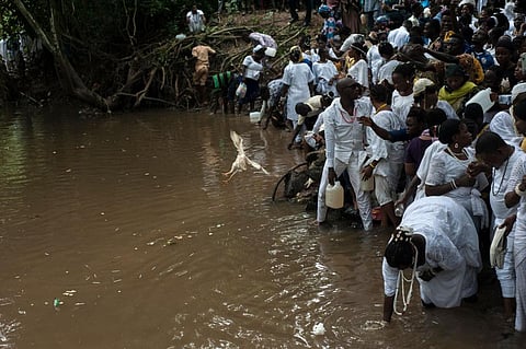 The Osun River has become turbid and unsafe for consumption, threatening its cultural and biodiversity significance. Photo: Stefan Heunis / AFP via Getty Images