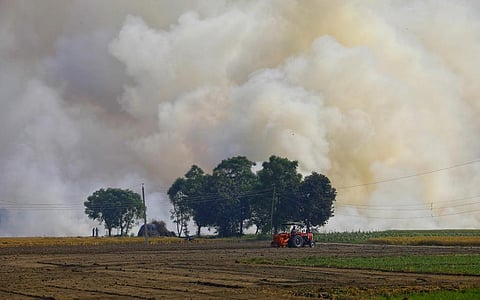 This photo shows stubble burning in Amritsar district last year. Photo: Vikas Choudhary / CSE
