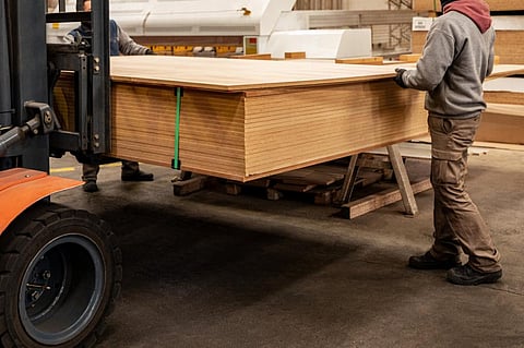 FAO report forecasts spike in wood-based substitutes to non-renewables; expects 1 million new jobs