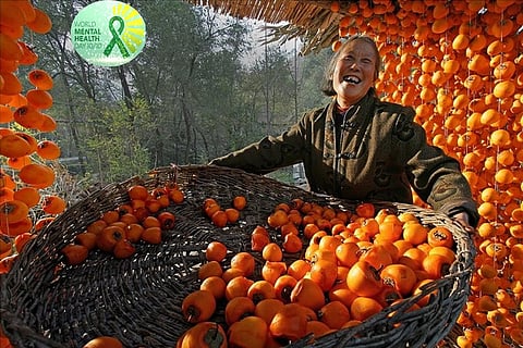 फोटो : डब्ल्यूएचओ