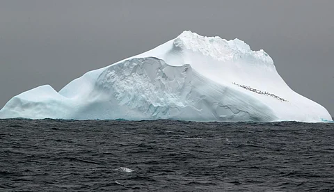The DNA fragments were taken from the Scotia Sea, north of the Antarctic continent. Photo: Thomas Ronge / Alfred-Wegener-Institute