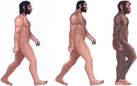 आवरण कथा: मनुष्य की नौंवी प्रजाति हैं हम