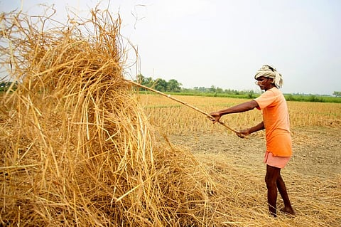 Bihar agrarian crisis : Why crores in diesel subsidies may not be the answer