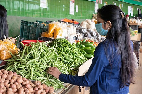 Eating right, for the environment: WWF’s diet chart to help curb climate change, biodiversity loss