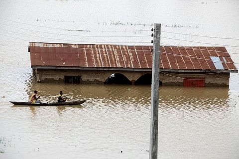 Floods in Nigeria: Building dams and planting trees among steps that should be taken to curb the damage