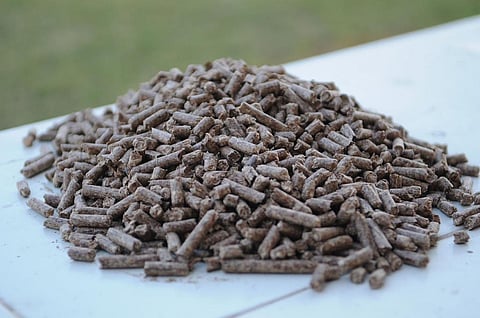 Agricultural residue or biomass is used for power generation along with coal in the form of densified pellets. Photo: Wikimedia Commons