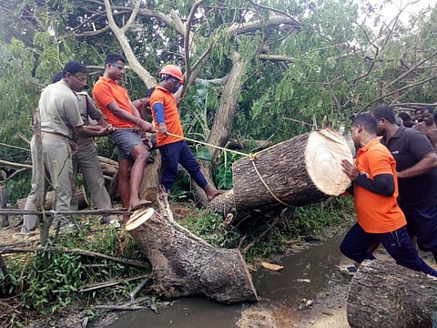 Cyclones in the past have caused heavy damage in Odisha, India. Photo: Government of India / Wikimedia Commons