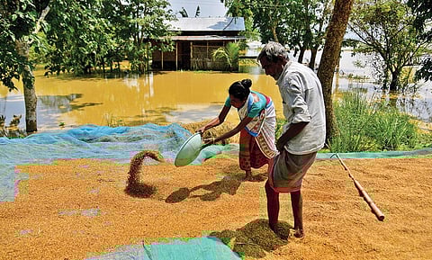 INDIA
Farmers dry their paddy crop on a road in Morigaon district, Assam, on May 24. Assam witnessed widespread floods across its network of rivers this year, affecting more than 30 of the state’s 35 districts, and impacting over
5 million people. The state estimated the disaster to have cost around R4,416 crore. Floods are chronic in the state, but their intensity and frequency have increased. A fresh spell of rain later in early October led to another wave of flood, affecting five districts (Photograph: Reuters)