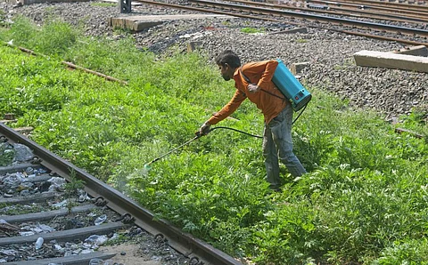 Centre restricts use of common weedicide glyphosate citing health hazards