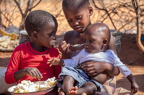 Four in every five Malawians experienced moderate to severe food insecurity during 2019-2021. Photo:iStock