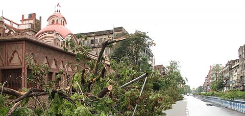 Central Kolkata after Cyclone Amphan. Photo: iStock
