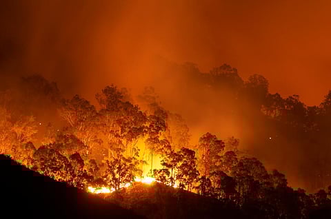 Horror writers reveal their environmental fears