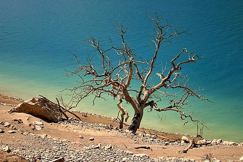 Drought represents the most serious hazard to livestock and crops in nearly every part of the world. Photo: Wikimedia Commons