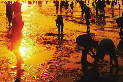 फोटो:यूरोपीय पर्यावरण एजेंसी (ईईए) रिपोर्ट