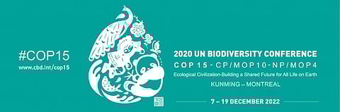 Over 10,000 to attend UN biodiversity convention next month