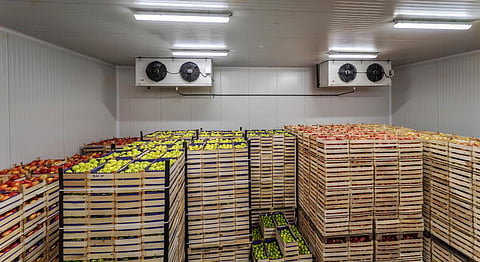 Sustainable cold chains can address climate, food crises: UNEP & FAO report