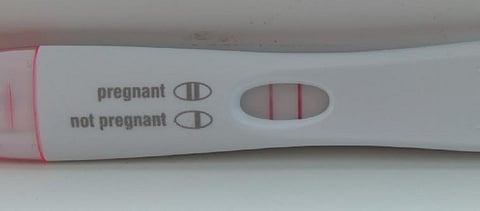 World @ 8 billion: WHO handbook now covers family planning during epidemics, high-risk HIV