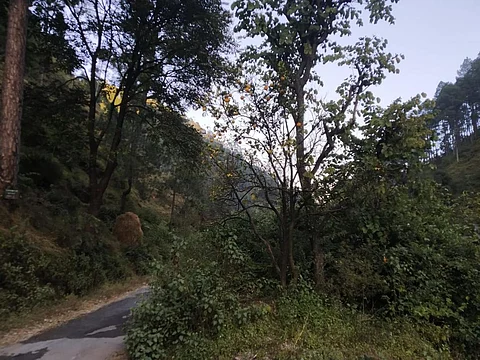 फोटो : चरखा फीचर सेवा