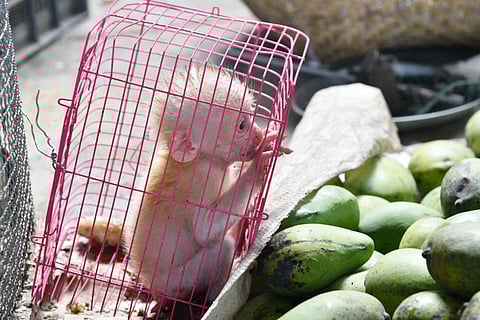 Photo: iStock